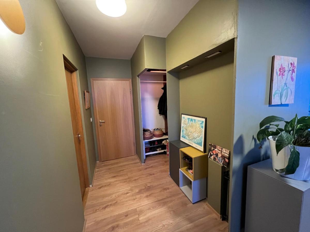 Jm Homestay - A Cozy Two Bedroom Apartment Рейк'явік Екстер'єр фото